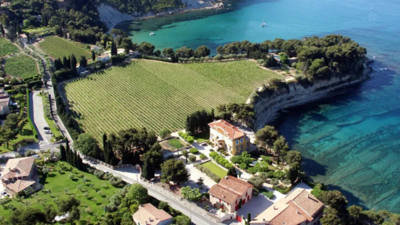 Cassis et ses vignobles